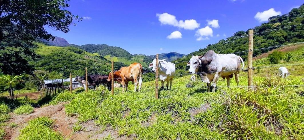 Fazendinha Paraiso Луміар Екстер'єр фото